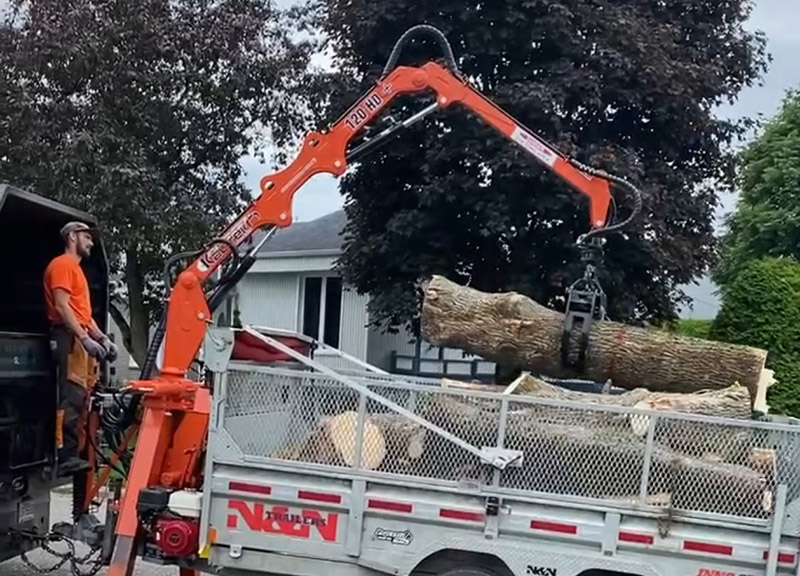 Wood debris removal Québec