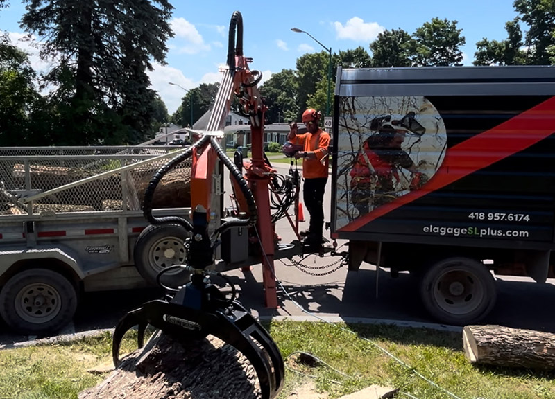 Wood debris removal Québec
