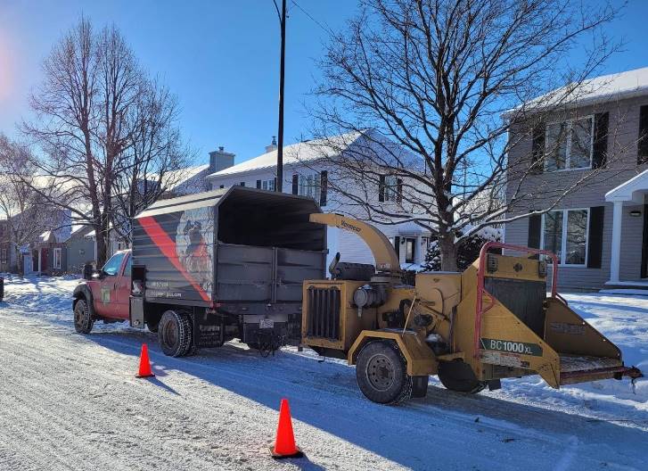 Agrile du frêne Québec