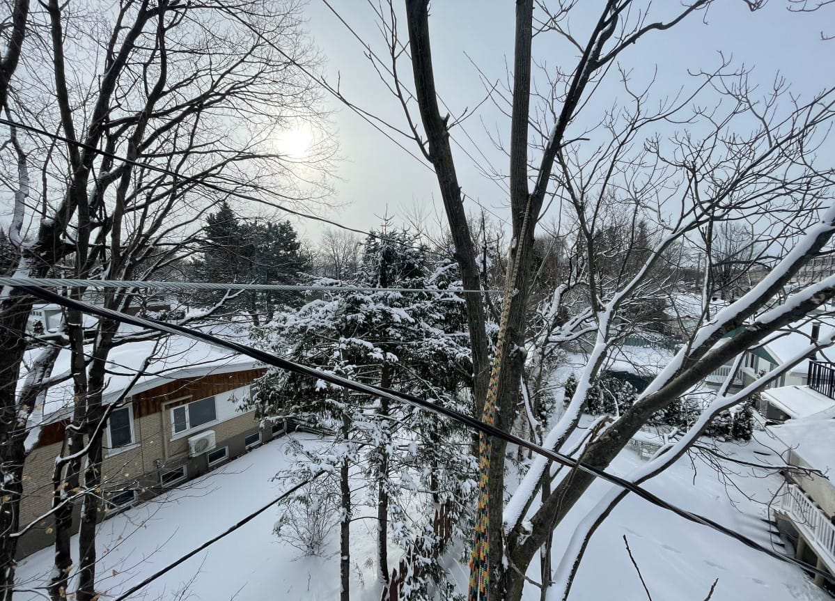 Haubanage Québec