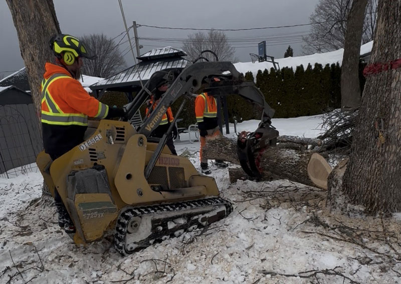 Abattage d arbre L'Ancienne-Lorette