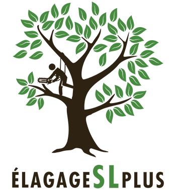 Élagage SL Plus